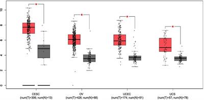 The Biological Relevance of NHERF1 Protein in Gynecological Tumors